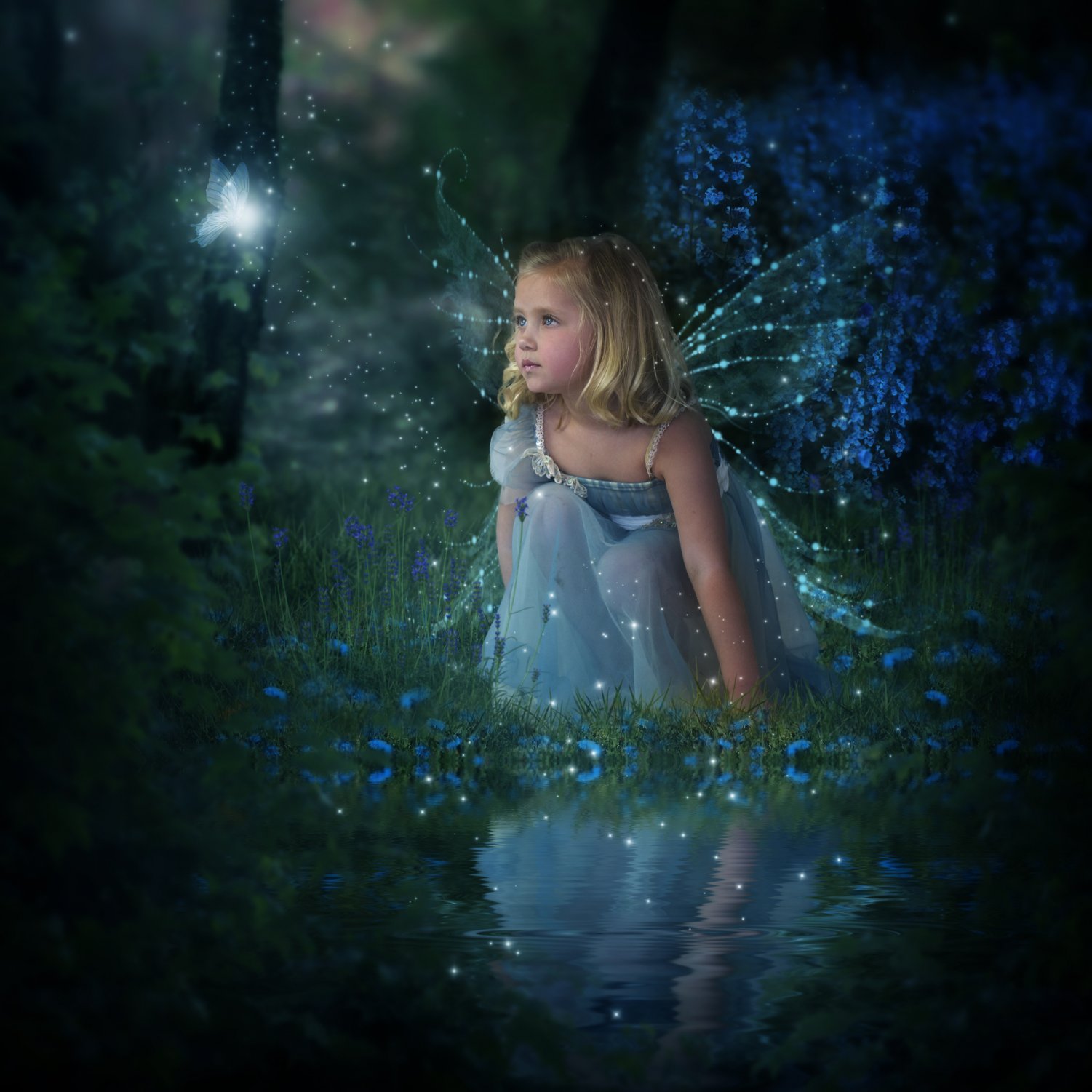 Fairy Day Blue Fairy Photography