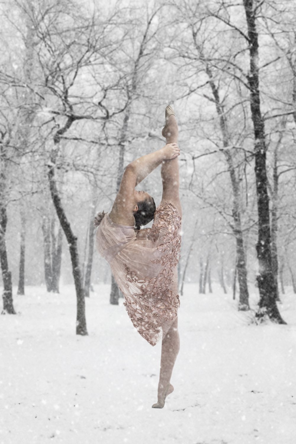 Fine Art Dance & Professional Headshots | Snow2.jpg