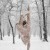 Fine Art Dance & Professional Headshots | Snow2.jpg